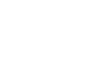 Sacred Seed website & logo