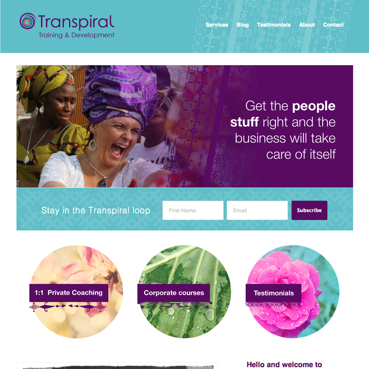 Transpiral website design by Frances Verbeek